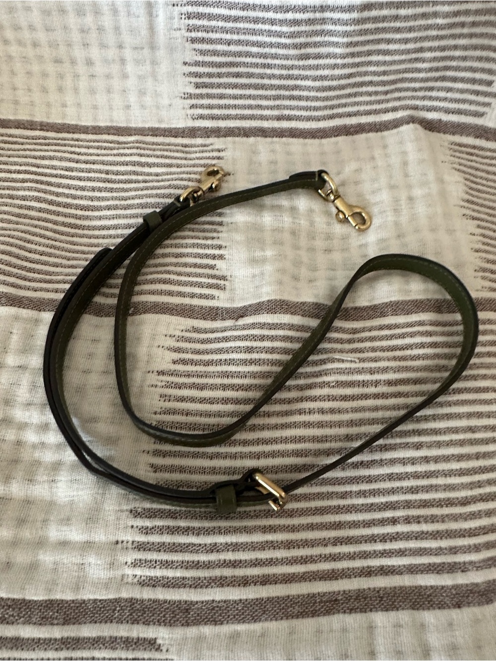 Coach Olive Green Leather Crossbody Strap with Brass Hardware